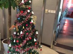 -樱花国际日语(徐家汇中心)