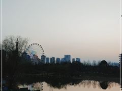 -洋湖国家湿地公园