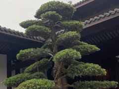 -王阳明故居