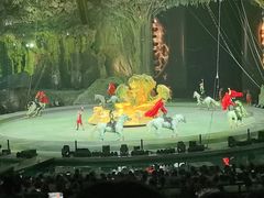 -广州长隆国际大马戏