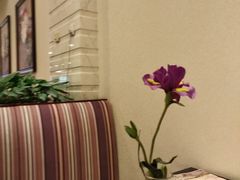 -中家鑫园温泉酒店鑫悦汤泉