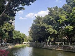 -晓港公园