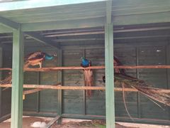 -羊亭河湿地公园