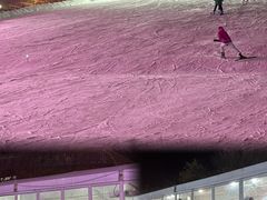 -沈阳奥体冰雪嘉年华