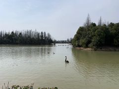 -艾溪湖湿地公园