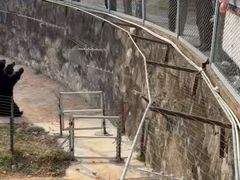-无锡动物园·太湖欢乐园