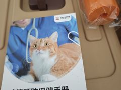 -艾贝尔宠物医院·24H转诊中心·肿瘤猫专科(江宁双龙店)