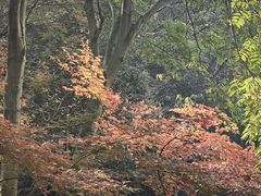 -幕燕滨江·长江观音景区