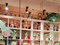 -老佛爷炭火蛙锅直营(清滨路总店)
