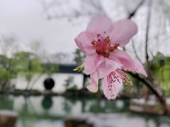 -沧浪亭