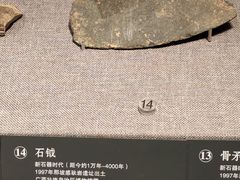 -广西壮族自治区博物馆