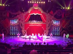 -珠海横琴长隆《卡卡虎奇遇记》