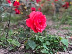 -苏州河梦清园环保主题公园