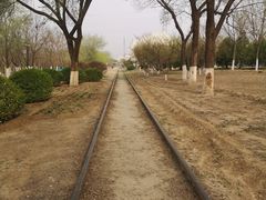 -永定河休闲森林公园