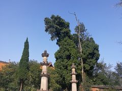 -金堂县云顶石城风景区