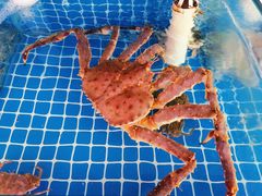 -名超海鲜烧烤大排档