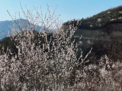 -妙峰山风景名胜区