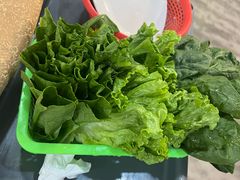 -濠轩阁特色生蚝火锅(水湾路店)