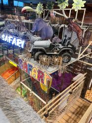 -卡通尼·Safari非洲探索乐园·生日会(金桥国际商业广场店)