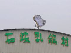 -石岐乳鸽村(桥观坊南四巷店)