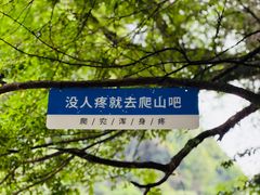 -石台牯牛降景区