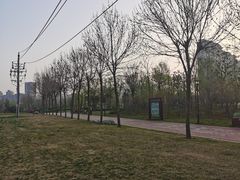-西吴河科普公园