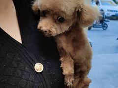 -宠福鑫康馨动物医院·骨科·眼科