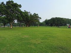 -东莞植物园