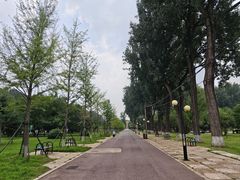 -二一九公园