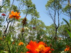 -上海海湾国家森林公园