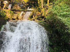 -藏龙百瀑风景区