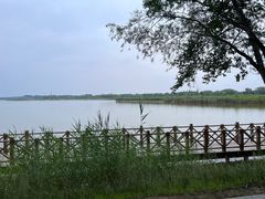 -野鸭湖国家湿地公园