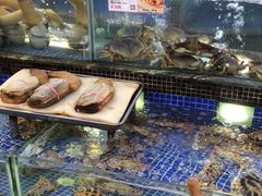 -欢乐海岸美食联盟