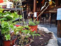 -尽善百年古院餐厅(王家老宅店)