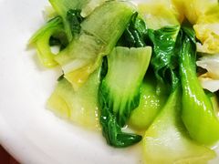 小油菜-北京大学-学五食堂