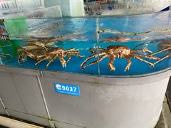 水产区-四川小胡子海鲜(丁村万人海鲜广场店)