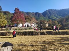 -塔川景区