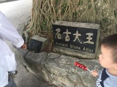 -神光山国家森林公园