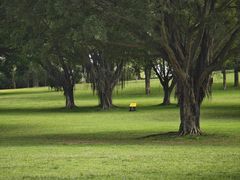 -东莞植物园