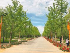 -野鸭湖国家湿地公园