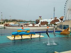 -秦皇岛乐岛海洋王国