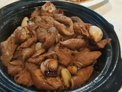 -肥信潮菜(科新路店)