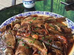 -长兴岛郊野公园农场食堂