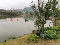 -枫香湖儿童公园