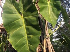 -维乐口腔医院(福清院)