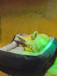 -酷嗒动物文化乐园(cutezoo西溪乐天城店)