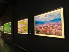 -罗红摄影艺术馆