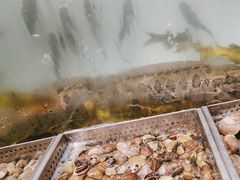 -金滏山烤肉·海鲜·火锅自助餐厅(襄阳万达店)