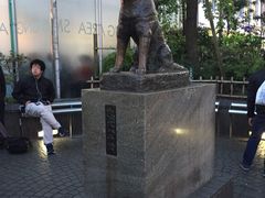 -涩谷区