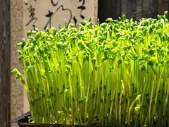 -湊湊火锅·茶憩(南京东路悦荟店)